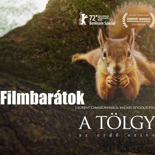 Filmbarátok Expressz: A tölgy